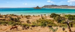 madagascar